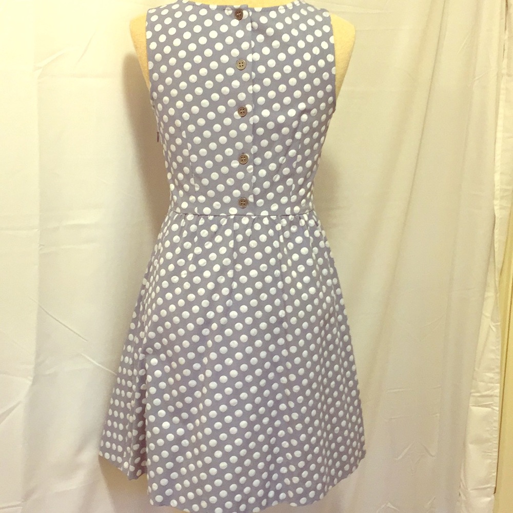 The Limited Polka Dot Fit & Flare Dress